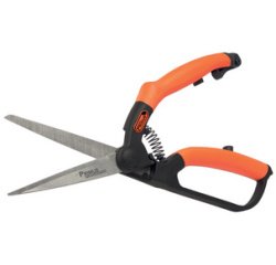 Cisaille à buis, petit, longueur : 260 mm