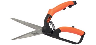 Cisaille à buis, petit, longueur : 260 mm