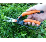 Cisaille à buis, petit, longueur : 260 mm