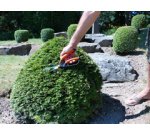 Cisaille à buis, petit, longueur : 260 mm