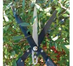 Cisaille à haies 'Multi-coupes'