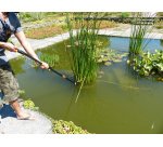 Girafe de coupe, télescopique