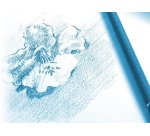 Bloc spiralé papier dessin à Grain, A4