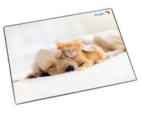 Sous-main Chien et chat, 400 x 530 mm