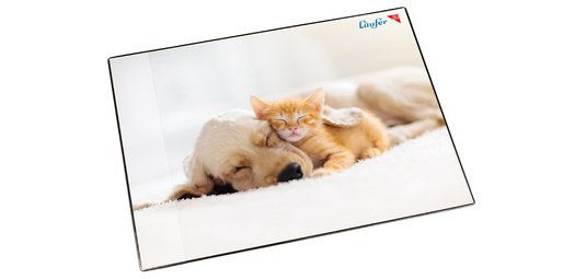 Sous-main Chien et chat, 40 x 53 cm