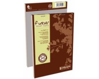 Bloc de bureau Forever Calligraphe 14,8 x 21 cm agrafé - 5 x 5 - 100 feuilles