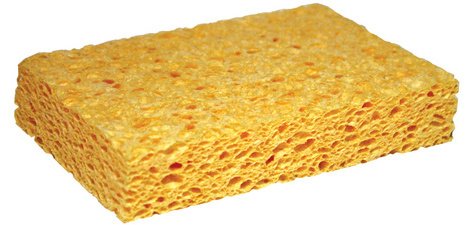 Eponge végétale pour tableau N.6