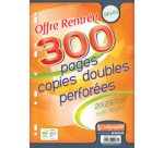 Dubbele kopieën geperforeerd A4 séyès