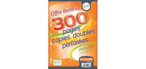 Dubbele kopieën geperforeerd A4 séyès