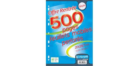 Feuillets mobiles perforés, A4, séyès