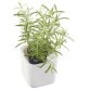 Pot voor aromatische kruiden EDEN, breedte: 120 mm, wit