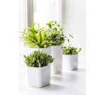 Cache-pot carré, blanc, Eden