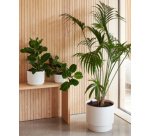 Pot de fleurs PAULINA, diamètre: 250 mm