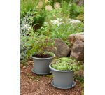 Pot de fleurs rond Botanica