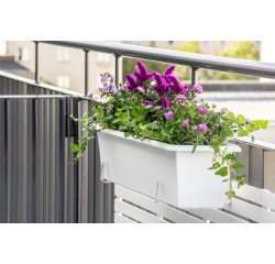 Jardinière BOTANICA, largeur : 800 mm