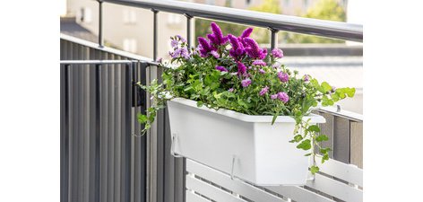 Jardinière Botanica, Orthex