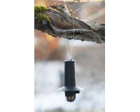 Mangeoire pour oiseaux, noir