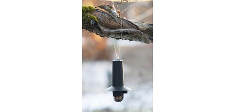 Mangeoire pour oiseaux, noir