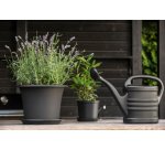 Arrosoir Splash, 5,0 litres, noir