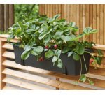 Support de jardinière, charge max.: 30 kg