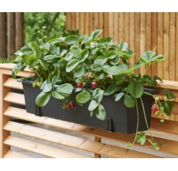 Support de jardinière, charge max.: 30 kg