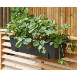 Support de jardinière, charge max.: 30 kg, galvanisé