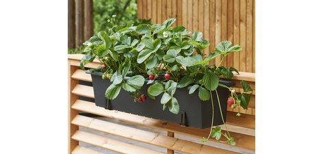 Support de jardinière, charge max.: 30 kg