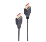 BASIC-S Câble DisplayPort 1.4, slim, 1,0 m, noir