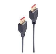 BASIC-S Câble DisplayPort 1.4, slim, 1,0 m, noir