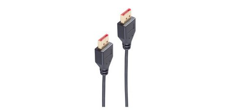 BASIC-S Câble DisplayPort 1.4, slim, 1,0 m, noir