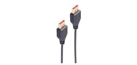 BASIC-S Câble DisplayPort 1.4, slim, 1,0 m, noir