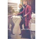 Business Valise à roulettes GEMINI