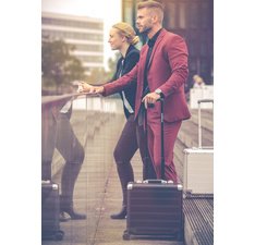 Business Valise à roulettes GEMINI