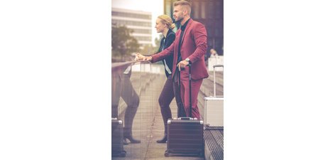 Business Valise à roulettes GEMINI