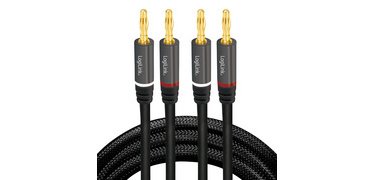 Cordon haut-parleur, 2 x 2 fiches bananes, 3,0 m