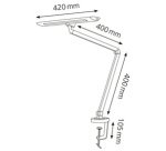 Lampe de bureau à LED 'Zirkon', à pince, noir