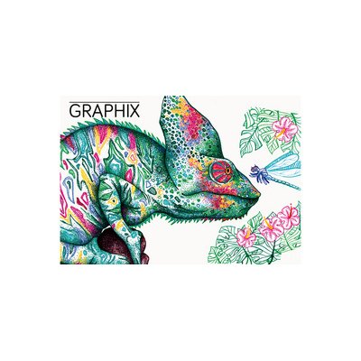 Fineliner COLOUR GRAPHIX HYPNOTIZE, étui carton de 24