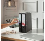 Etiquettes pour dos de classeur, 61 x 192 mm