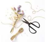 Ciseaux, pointus, longueur: env. 145 mm, or