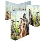 Classeur à motifs 'Suricates', A4, largeur dos: 70 mm