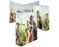 Classeur à motifs 'Suricates', A4, largeur dos: 70 mm