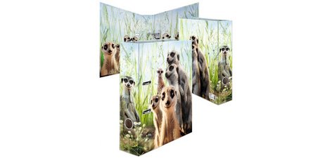 Classeur à motifs 'Suricates', A4, largeur dos: 70 mm