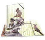 Chemise à élastiques Animaux exotiques, A4, koalas