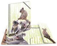 Chemise à élastiques Animaux exotiques, A4, koalas