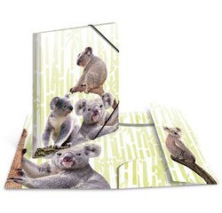 Chemise à élastiques Animaux exotiques, A4, koalas