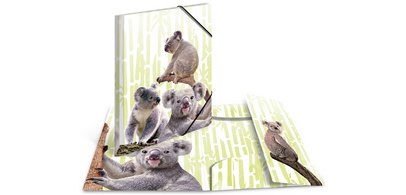 Chemise à élastiques Animaux exotiques, A4, koalas