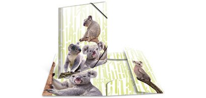 Chemise à élastiques Animaux exotiques, A4, koalas