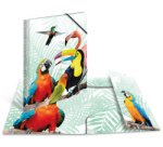 Chemise à élastiques Animaux exotiques, A4, oiseaux