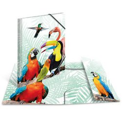 Chemise à élastiques Animaux exotiques, A4, oiseaux