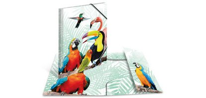 Chemise à élastiques Animaux exotiques, A4, oiseaux
